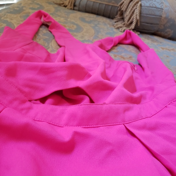 Shocking Pink Pleeted Dress - Picture 3 of 5